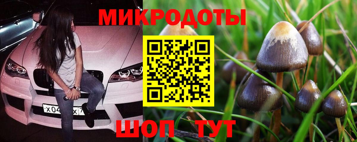 Псилоцибиновые грибы Psilocybine cubensis  Галлюциногенные грибы MAGIC MUSHROOMS  Архангельск  Вход с VPN 